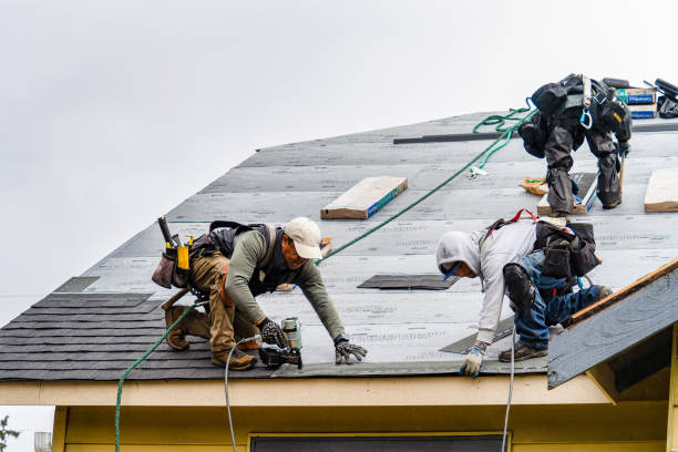 Professional Roofing technician working in New Boston, IL